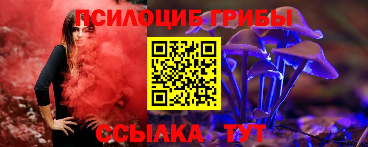Ейск  Галлюциногенные грибы Psilocybine cubensis  Вход с VPN 